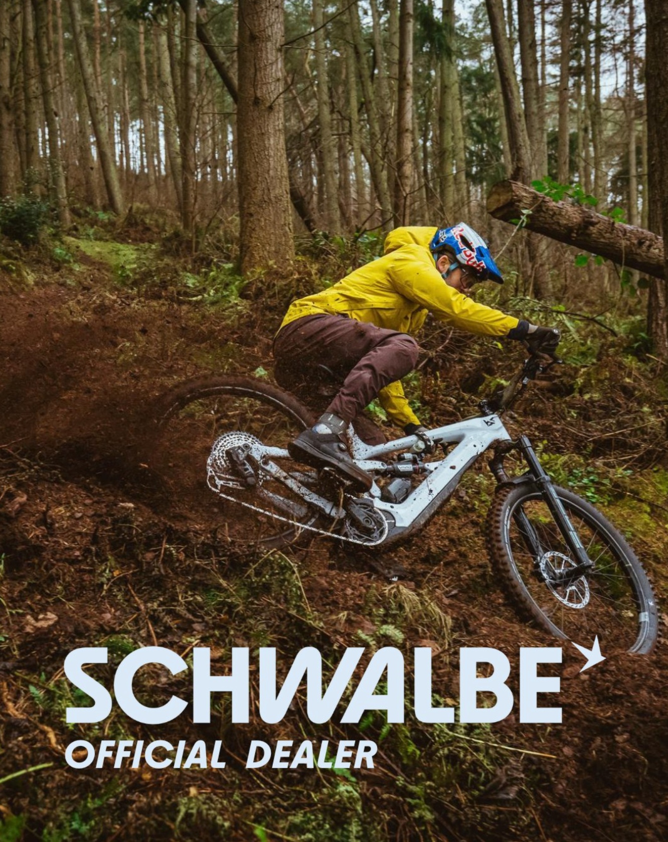 Fahrer auf eBike im Wald.