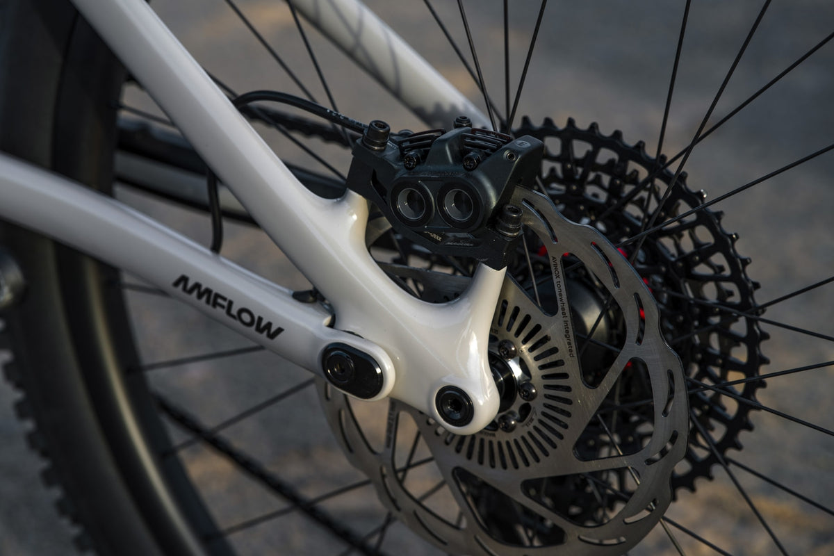 Magura Gustav Pro Hinterradbremse am Amflow PX Carbon Pro