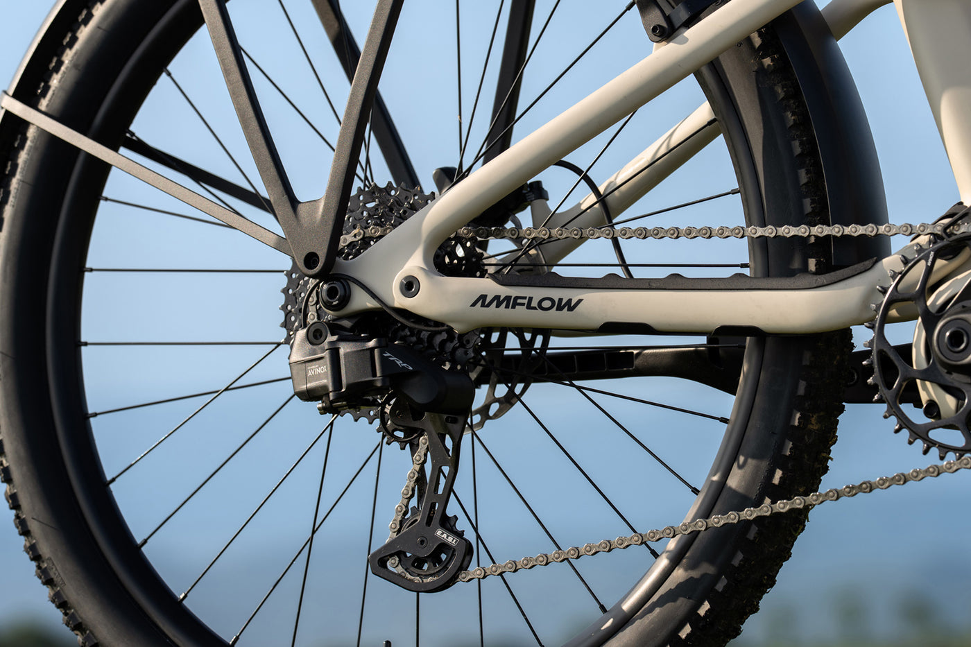 Amflow TL Carbon mit Schaltung