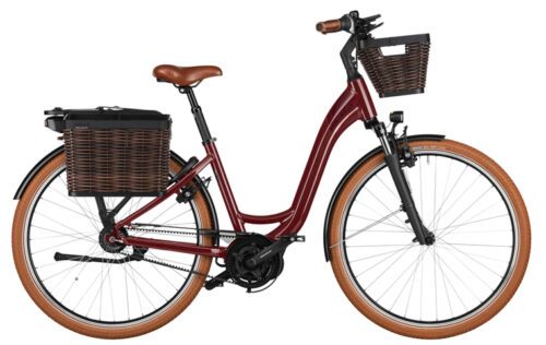 Riese & Müller Swing4